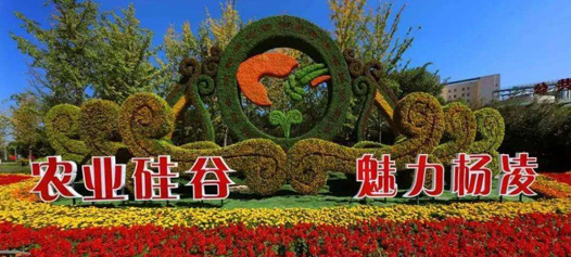 百度地圖位置